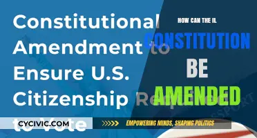 Amending the Illinois Constitution: What You Need to Know
