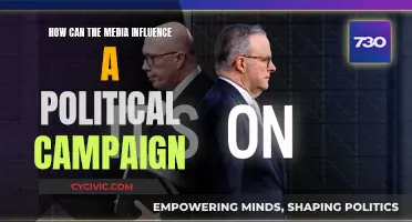 Media's Grip on Politics: Influencing Campaigns