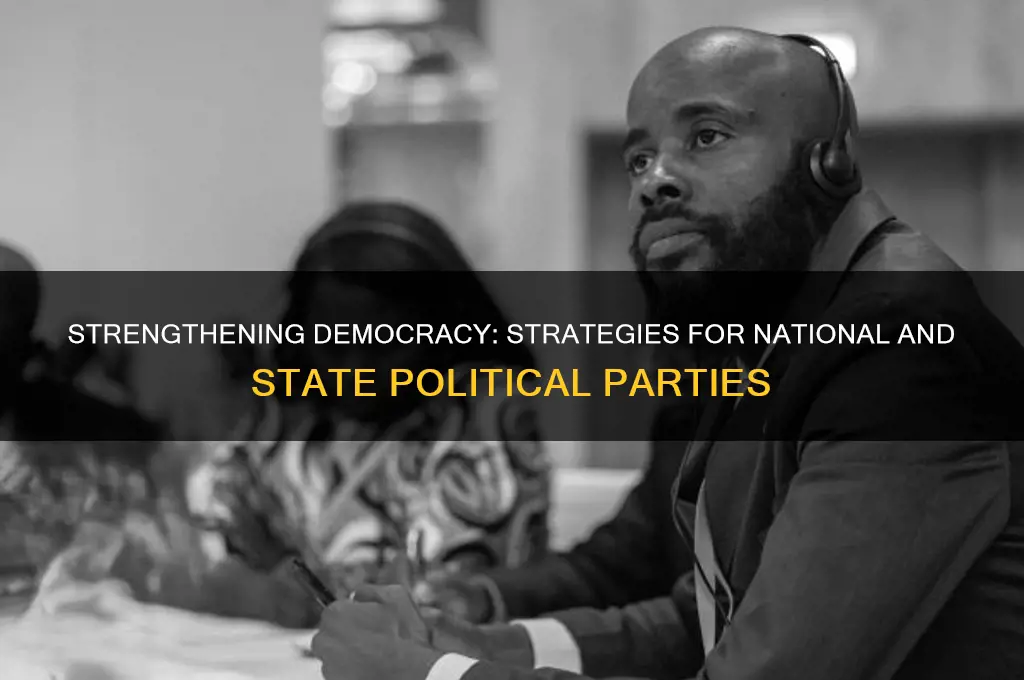 how can the national and states political parties