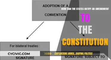 Amending the Constitution: State Ratification Explained
