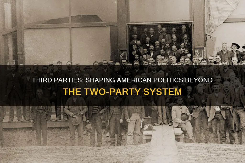 how can third parties impact american politics