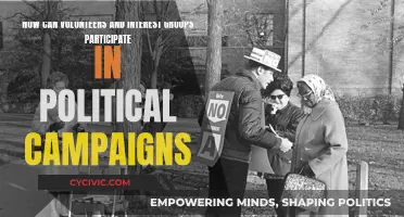 Volunteers and Interest Groups: Effective Political Campaign Strategies
