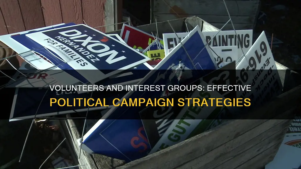 how can volunteers and interest groups participate in political campaigns