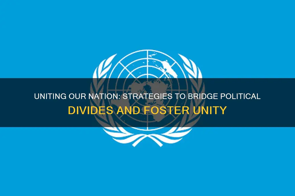 how can we avoid political parties dividing our nation