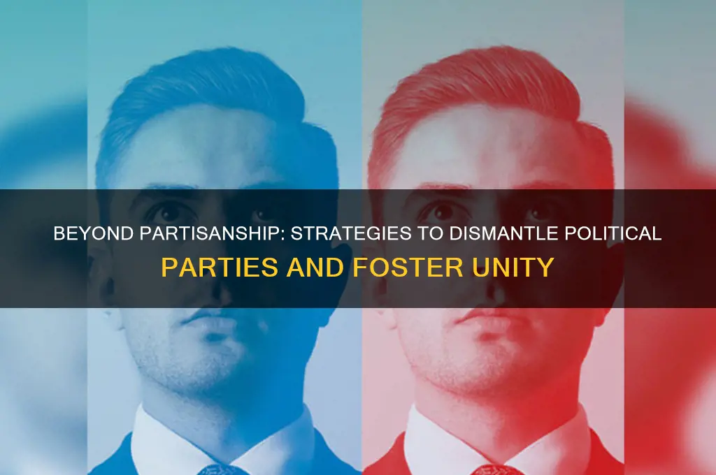 how can we eliminate political parties