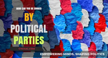 Divided We Stand: How Political Parties Fragment Our Unity