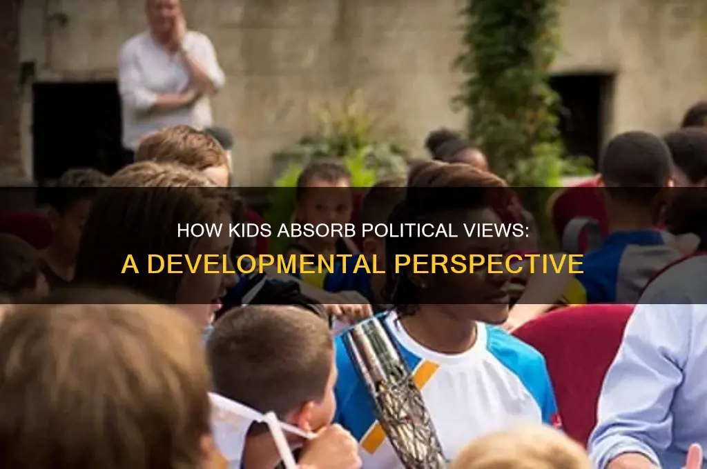 how children learn politics