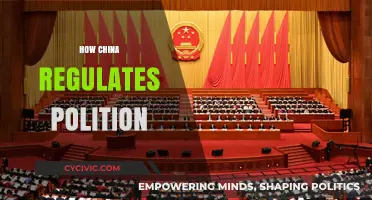 China's Political Regulation: Mechanisms, Control, and Governance Strategies