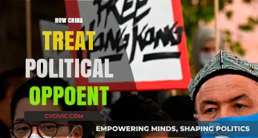 China's Political Suppression: Strategies Against Dissent and Opposition