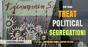 China's Approach to Political Segregationists: Policies and Practices Explored