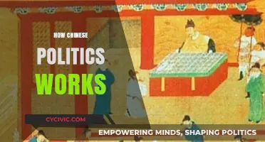 Understanding the Complexities of Chinese Political Systems and Power Dynamics