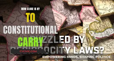 Kentucky's Constitutional Carry: So Close, Yet So Far