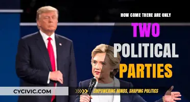 Why America's Political Landscape Dominates with Only Two Major Parties