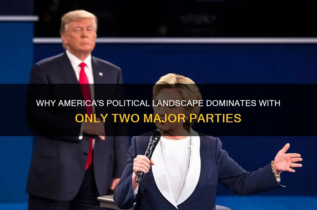 how come there are only two political parties