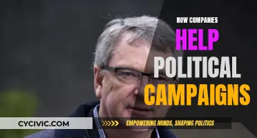 Companies' Political Campaign Support: Strategies and Secrets