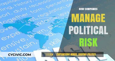 Navigating Political Uncertainty: Strategies for Effective Corporate Risk Management