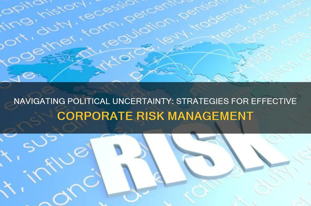 how companies manage political risk