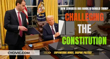 Trump's Constitutional Challenge: Congress Responds
