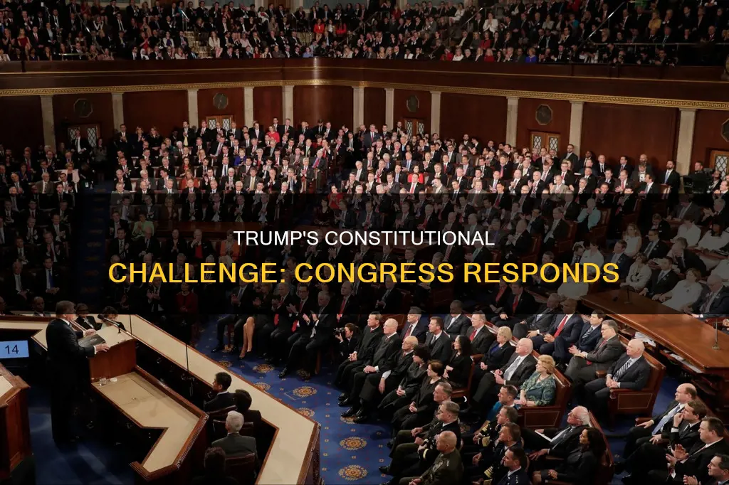 how congress has handled donald trump challeging the constitution