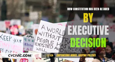 Executive Power: Altering the Constitution's Fabric