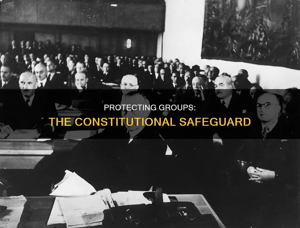 how constitution protect groups