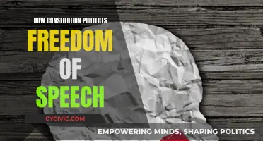 The Constitution's Safeguards for Free Speech
