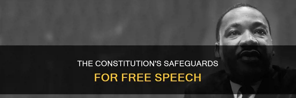 how constitution protects freedom of speech