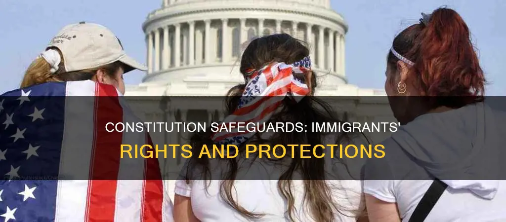 how constitution protects immigraznts