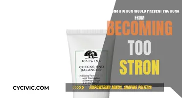 Preventing Factions: The Constitution's Role