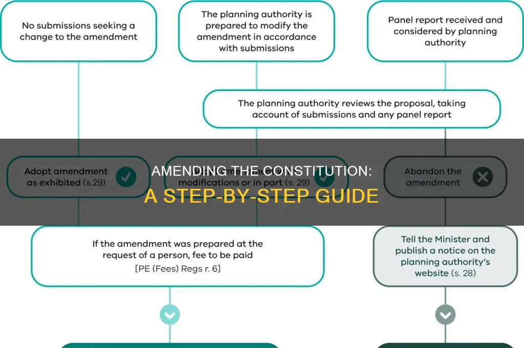 how constitutional amendment