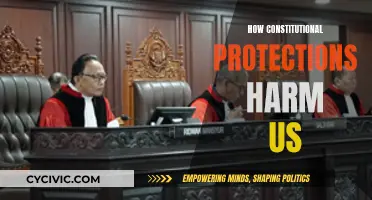 Constitutional Protections: Harmful or Helpful?