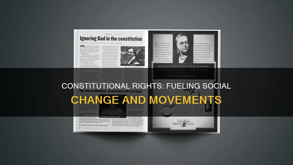 how constitutional provisions have supported and motivated social movements