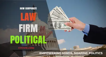 Corporate Law Firms and Their Political Influence: A Deep Dive