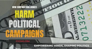 Corporate Donations: Political Campaigns' Harmful Double-Edged Sword