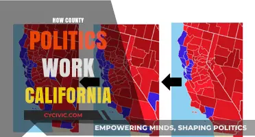 Understanding California County Politics: Structure, Power, and Local Governance