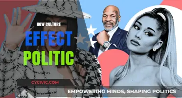 Cultural Influences: Shaping Political Landscapes and Decision-Making Processes