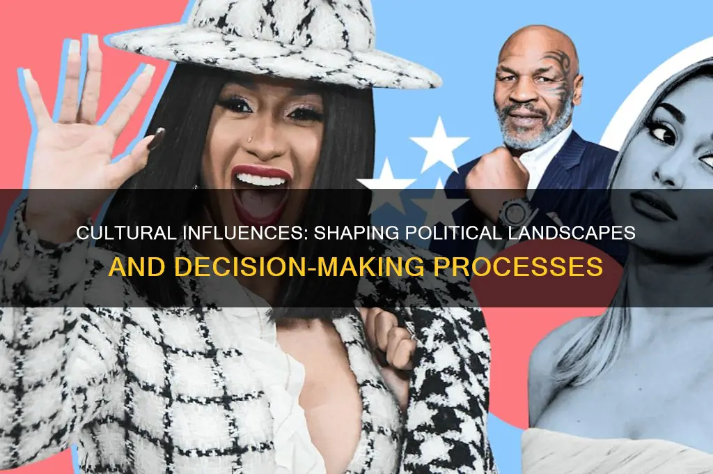 how culture effect politic