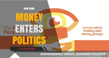 Unveiling the Shadows: How Dark Money Infiltrates Political Campaigns