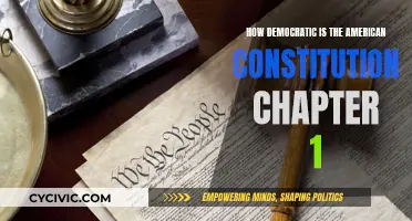 The American Constitution: A Democratic Foundation