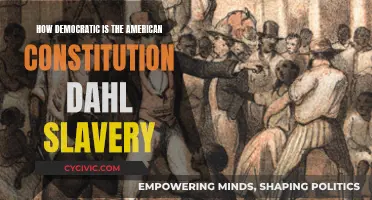 American Constitution: Democratic or Slave-holding?