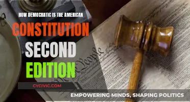 The American Constitution: Democracy's Foundation and Future