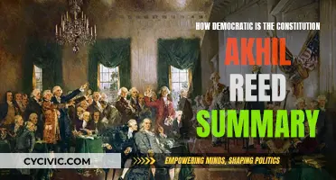 Exploring Akhil Reed's Critique of the US Constitution