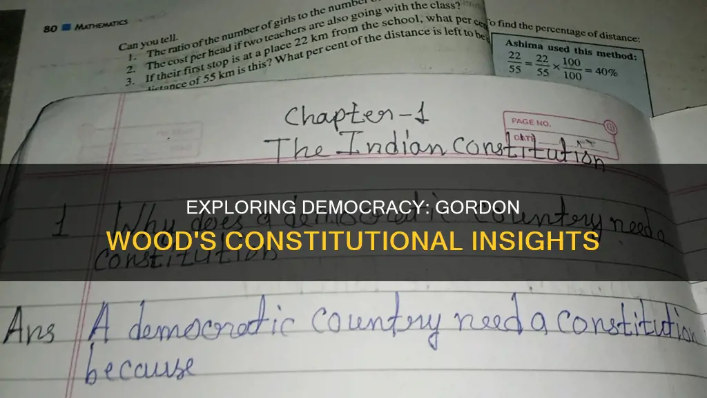 how democratic is the constitution gordon s wood