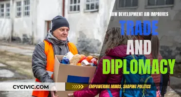 Aid's Impact: Trade and Diplomacy Enhanced