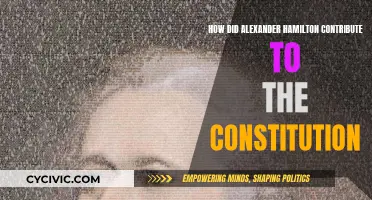 Alexander Hamilton's Influence on the US Constitution