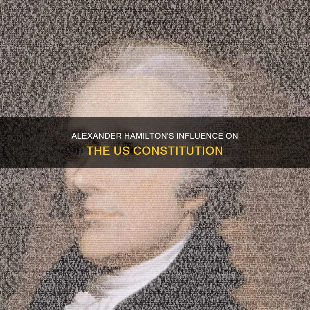 how did alexander hamilton contribute to the constitution