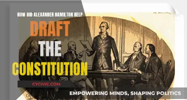 Alexander Hamilton's Influence on the US Constitution
