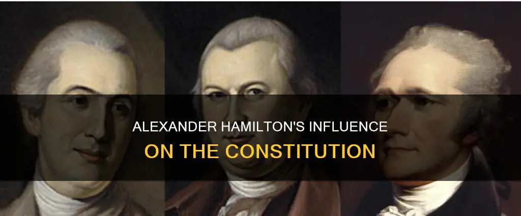 how did alexander hamilton help with the constitution
