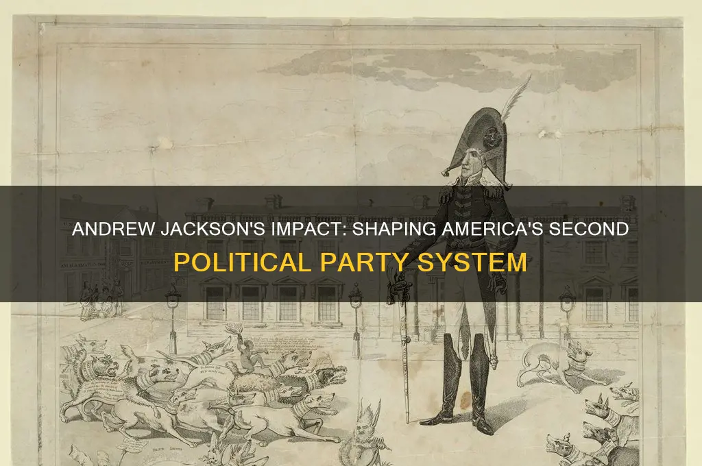 how did andrew jackson shape the second political party system