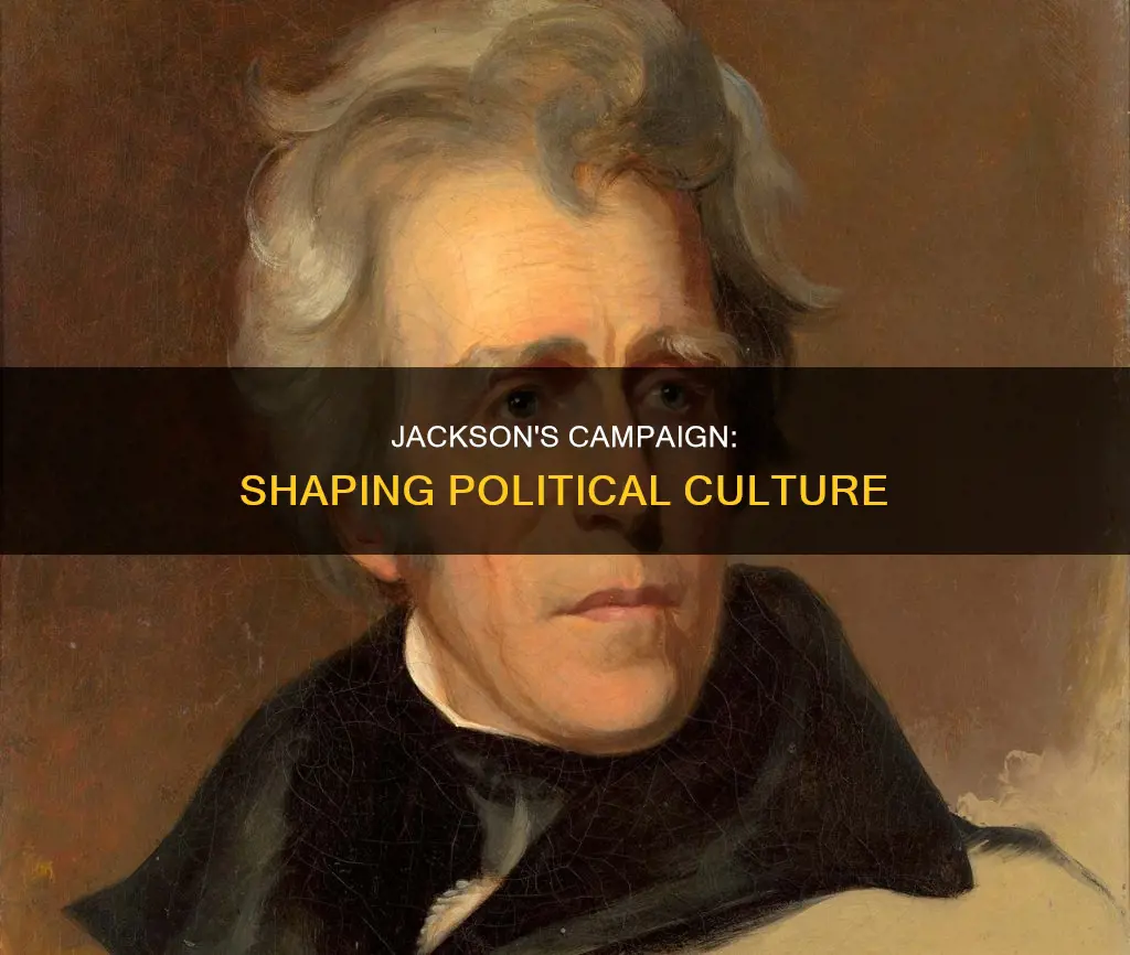 how did andrew jackson